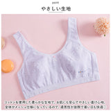 ジュニア ブラジャー スポーツ 通販 3枚セット 3枚 ジュニアブラ ジュニアブラジャー ブラ ファーストブラ スポーツブラジャー ブラトップ ノンワイヤー ハーフトップ コットン ガールズ
