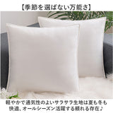 クッションカバー ベロア調 通販 クッション カバー 正方形 上品 四角 モダン シンプル 無地 北欧風 高級感 インテリア リビング ソファ 寝室 ベッド インテリア小物 おしゃれ オシャレ
