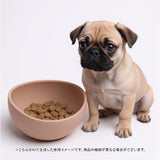 フードボウル シリコン 食器 犬 猫 通販 餌入れ 水入れ 水飲み 皿 ペット用食器 エサ入れ ペット食器 ペットフードボウル ペット ペット用 いぬ ねこ ネコ 犬用 猫用 かわいい 可愛い