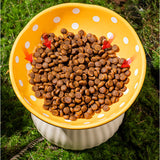 フードボウル ペット用 通販 犬猫兼用 安定感 セラミック製 高さがある 洗いやすい 食べやすい 水飲み 餌入れ ご飯皿 水分補給 おしゃれ かわいい 可愛い 小型犬 ネコ いぬ