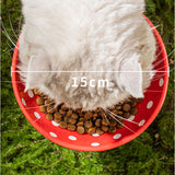 フードボウル ペット用 通販 犬猫兼用 安定感 セラミック製 高さがある 洗いやすい 食べやすい 水飲み 餌入れ ご飯皿 水分補給 おしゃれ かわいい 可愛い 小型犬 ネコ いぬ