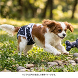 犬 マナーパンツ 女の子 通販 サニタリーパンツ 生理パンツ 犬用 イヌ いぬ ドックウェア 犬オムツ おむつ パンツタイプ おむつカバー 犬服 ペット服 しつけ用品 術後 ウェア 服 お散歩