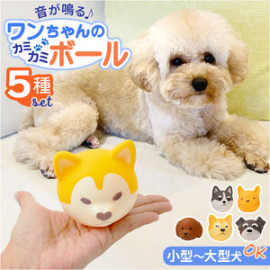 犬 おもちゃ 音が鳴る ボール 5種セット 通販 フェイスボール 玩具 オモチャ 犬オモチャ 犬おもちゃ ペットおもちゃ 犬用おもちゃ 鳴るボール 知育玩具 犬のおもちゃ 犬用 かわいい