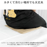 ポータブルクッション 通販 折りたたみ クッション 観戦 スタジアムクッション 折りたたみ座布団 屋外 アウトドア 折り畳み マット 洗える 軽量 撥水 一人用 コンパクト 収納 持ち運び