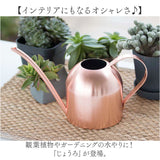 じょうろ おしゃれ 室内 通販 水やり 植物 水差し ジョウロ 園芸 ガーデニング用品 観葉植物 ジョーロ 園芸用 ガーデニング 500ml スリム かわいい 金属 ステンレス じょーろ オシャレ