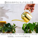 じょうろ おしゃれ 室内 通販 水やり 植物 水差し ジョウロ 園芸 ガーデニング用品 観葉植物 ジョーロ 園芸用 ガーデニング 500ml スリム かわいい 金属 ステンレス じょーろ オシャレ