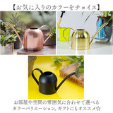 じょうろ おしゃれ 室内 通販 水やり 植物 水差し ジョウロ 園芸 ガーデニング用品 観葉植物 ジョーロ 園芸用 ガーデニング 500ml スリム かわいい 金属 ステンレス じょーろ オシャレ