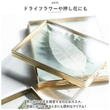 フォトフレーム 写真立て 2面 通販 写真たて ツインフレーム 2L ペアフレーム ペア 写真 フォト 真鍮 金属 ガラス 2枚 メタル フレーム 高級 アンティーク かわいい おしゃれ ギフト