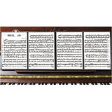 楽譜入れ ファイル A4 6枚 通販 楽譜入れファイル a4 楽譜ファイル バンドファイル 楽譜用ファイル ミュージックファイル 書き込み 見開き 長い楽譜 書き込める 楽譜 楽譜用 楽器 収納