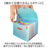 ドキュメントファイル A4 通販 書類ケース 書類ファイル ファイル 書類整理 書類 収納 ファイルケース ケースファイル 書類キャリー ドキュメントキャリー ファイル収納 13ポケット