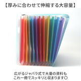 ドキュメントファイル A4 通販 書類ケース 書類ファイル ファイル 書類整理 書類 収納 ファイルケース ケースファイル 書類キャリー ドキュメントキャリー ファイル収納 13ポケット