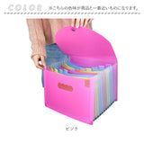 ドキュメントファイル A4 通販 書類ケース 書類ファイル ファイル 書類整理 書類 収納 ファイルケース ケースファイル 書類キャリー ドキュメントキャリー ファイル収納 13ポケット