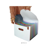 ドキュメントファイル A4 通販 書類ケース 書類ファイル ファイル 書類整理 書類 収納 ファイルケース ケースファイル 書類キャリー ドキュメントキャリー ファイル収納 13ポケット