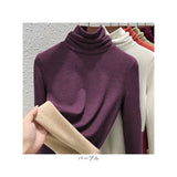 タートルネック インナー レディース 長袖 通販 インナーシャツ アンダーシャツ カットソー ハイネック 大きいサイズ 裏起毛 防寒 あったか きれいめ 重ね着 無地 シンプル 秋 冬 春 秋冬