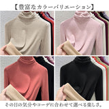 タートルネック インナー レディース 長袖 通販 インナーシャツ アンダーシャツ カットソー ハイネック 大きいサイズ 裏起毛 防寒 あったか きれいめ 重ね着 無地 シンプル 秋 冬 春 秋冬