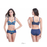 ブラジャー ショーツ セット 通販 下着 レディース セット ブラショーツ 綺麗 レース 夜 セクシー パンツ 小さいサイズ 脇肉 脇高ブラ 70AB 75AB 80AB 85AB 75CD 80CD 85CD 刺繍 abカップ cdカップ ベージュ ピンク ブラック グレー レッド ブルー