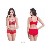 ブラジャー ショーツ セット 通販 下着 レディース セット ブラショーツ 綺麗 レース 夜 セクシー パンツ 小さいサイズ 脇肉 脇高ブラ 70AB 75AB 80AB 85AB 75CD 80CD 85CD 刺繍 abカップ cdカップ ベージュ ピンク ブラック グレー レッド ブルー