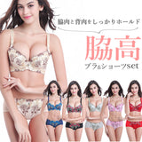 ブラジャー ショーツ セット 通販 下着 レディース セット ブラショーツ 綺麗 レース 夜 セクシー パンツ 小さいサイズ 脇肉 脇高ブラ 70AB 75AB 80AB 85AB 75CD 80CD 85CD 刺繍 abカップ cdカップ ベージュ ピンク ブラック グレー レッド ブルー