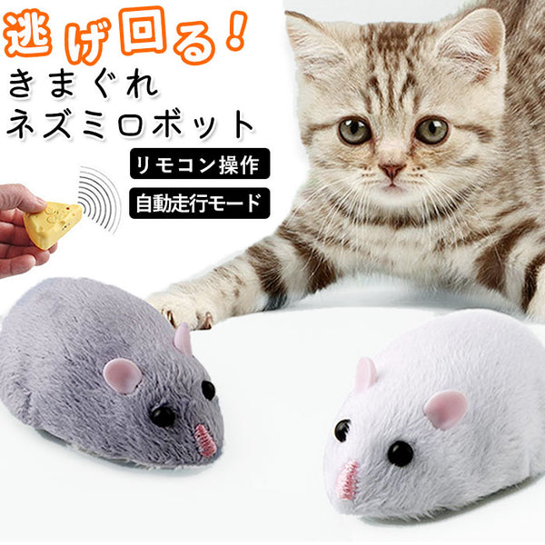 癒し ロボット 通販 おもちゃ ねずみ ネズミ ネコ ねこ 猫 ニャンコ にゃんこ 子供 キッズ ラジコン リモコン 電動 自動 走行 自由 –  バックヤードファミリー