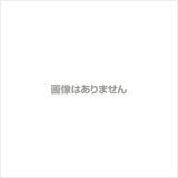 ランチボックス 2段 600ml ABCランチ 通販 弁当箱 二段 レディース メンズ スリムタイプ 細身 食洗機対応 電子レンジ対応 入れ子式 コンパクト おしゃれ かわいい レディースランチ シールフタ付き レンジOK 食器洗い乾燥機OK パッキン式 大容量 しっかり ランチ お弁当