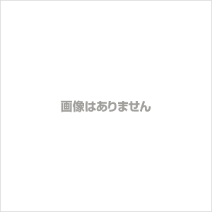 ランチボックス 2段 600ml ABCランチ 通販 弁当箱 二段 レディース メンズ スリムタイプ 細身 食洗機対応 電子レンジ対応 入れ子式 コンパクト おしゃれ かわいい レディースランチ シールフタ付き レンジOK 食器洗い乾燥機OK パッキン式 大容量 しっかり ランチ お弁当