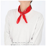 バンダナ 通販 スカーフ 柄 BANDANNA マスク ハンカチ ターバン 帽子 おしゃれ ディスプレイ アクセサリー 定番 メンズ レディース ギフト 贈り物