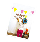 バースデーガーランド 通販 バースデーバナー メモリアルバースデーペーパーフラッグセット 生後6ヶ月～3歳まで 誕生日 飾り 飾りつけ 飾り付け 誕生会 パーティ 生後半年 ハーフバースデー 年齢アイコン ペーパーフラッグ ガーランド HALF 1st 2nd 3rd happy birthday