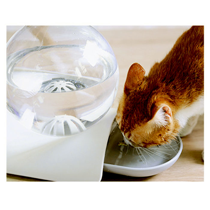 c030034_2_2048x.jpg?v=1666892238