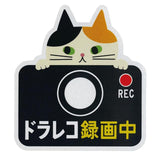 ドライブレコーダー ステッカー 通販 マグネット リフレクター 車 カー用品 車用品 おしゃれ ドライブレコーダー 磁石 ドラレコ かわいい 録画中 煽り運転防止 セキュリティー 防犯 あおり運転防止 猫 ねこ グッズ