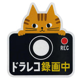 ドライブレコーダー ステッカー 通販 マグネット リフレクター 車 カー用品 車用品 おしゃれ ドライブレコーダー 磁石 ドラレコ かわいい 録画中 煽り運転防止 セキュリティー 防犯 あおり運転防止 猫 ねこ グッズ