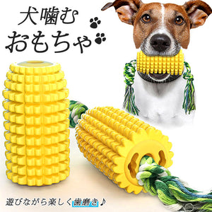 犬 歯磨き おもちゃ 通販 壊れにくい 玩具 いぬ デンタルケア 歯みがき ストレス解消 かわいい 犬用 犬用品 ペットトイ 中型犬 大型犬 ペット用歯ブラシ 噛むおもちゃ とうもろこし 丈夫