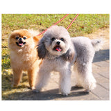 犬 リード 2頭引き 通販 おしゃれ かわいい 小型犬 可愛い 犬用 中型犬 ペット用品 いぬ 散歩 イヌ 多頭飼い ダブルリード 先端部 延長 丈夫