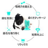 犬 噛む おもちゃ 通販 ペット用品 玩具 オモチャ ストレス解消 歯ブラシ 歯茎マッサージ 小型犬 中型犬 クリーニング 長持ち ペットグッズ かわいい 楽しい イヌ ドッグ