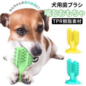 犬 噛む おもちゃ 通販 ペット用品 玩具 オモチャ ストレス解消 歯ブラシ 歯茎マッサージ 小型犬 中型犬 クリーニング 長持ち ペットグッズ かわいい 楽しい イヌ ドッグ