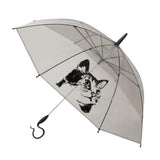 ビニール傘 オシャレ 通販 水玉 ドット 60cm 強風 サビにくい サエラ caetla ブランド Evereon エバーイオン 風に強い さびにくい 機能的 ハンドル 手元 デザイン 着替え 傘 雨傘 かさ カサ umbrella アンブレラ グラスファイバー かわいい エシカル サスティナブル