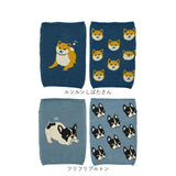 腹巻 レディース 可愛い 通販 ぬくぬくはらまき 腹巻き 冷えとり 冷え取り 冷え防止 ぬくぬく はらまき 伸縮 下着 あったかい 秋冬 おしゃれ 防寒 あたたかい 温活 マタニティ 冷え対策 妊活 かわいい 猫 ねこ 犬 いぬ うさぎ ベア クロネコ アニマル 柴田さん レンズヒル