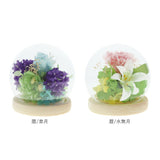 お供え プリザーブドフラワー ガラスドーム 通販 四季 暦  供養 仏花 供え花 献花 ドームタイプ ドーム プリザ 長持ち 飾り かわいい 仏壇用 お盆 進物 法要