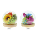 お供え プリザーブドフラワー ガラスドーム 通販 四季 暦  供養 仏花 供え花 献花 ドームタイプ ドーム プリザ 長持ち 飾り かわいい 仏壇用 お盆 進物 法要