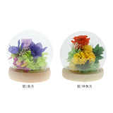 お供え プリザーブドフラワー ガラスドーム 通販 四季 暦  供養 仏花 供え花 献花 ドームタイプ ドーム プリザ 長持ち 飾り かわいい 仏壇用 お盆 進物 法要