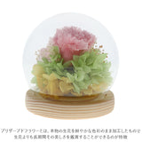 お供え プリザーブドフラワー ガラスドーム 通販 四季 暦  供養 仏花 供え花 献花 ドームタイプ ドーム プリザ 長持ち 飾り かわいい 仏壇用 お盆 進物 法要