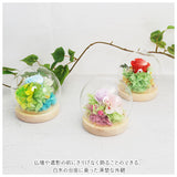 お供え プリザーブドフラワー ガラスドーム 通販 四季 暦  供養 仏花 供え花 献花 ドームタイプ ドーム プリザ 長持ち 飾り かわいい 仏壇用 お盆 進物 法要