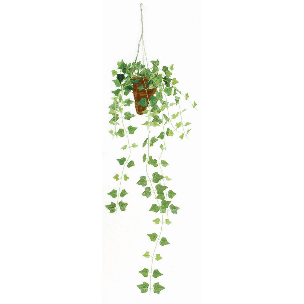 greenhanging447-zai-ivy_2048x.