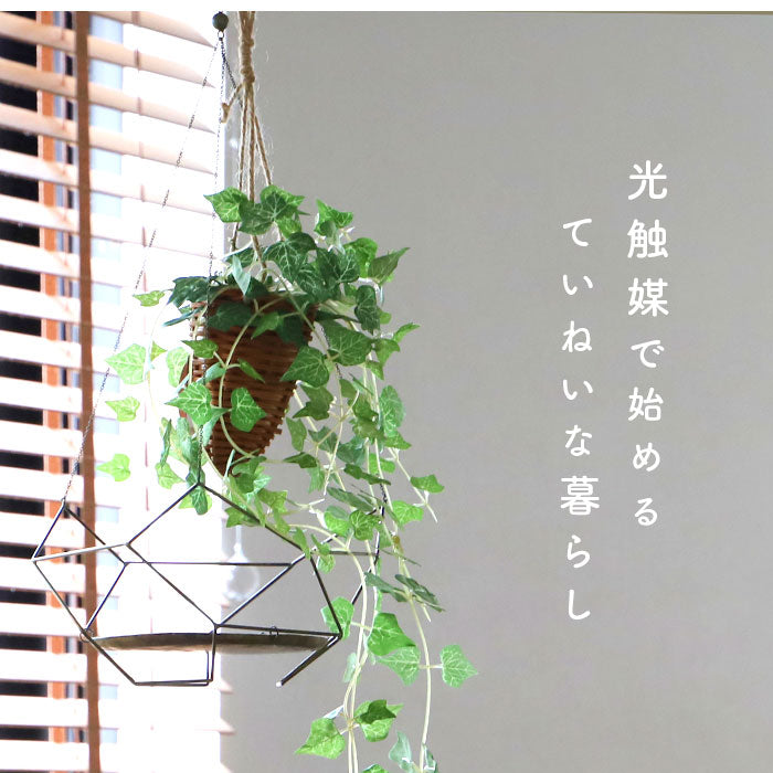 greenhanging447_1_2048x.jpg?v=