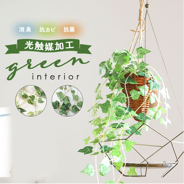 greenhanging447_grande.jpg?v=
