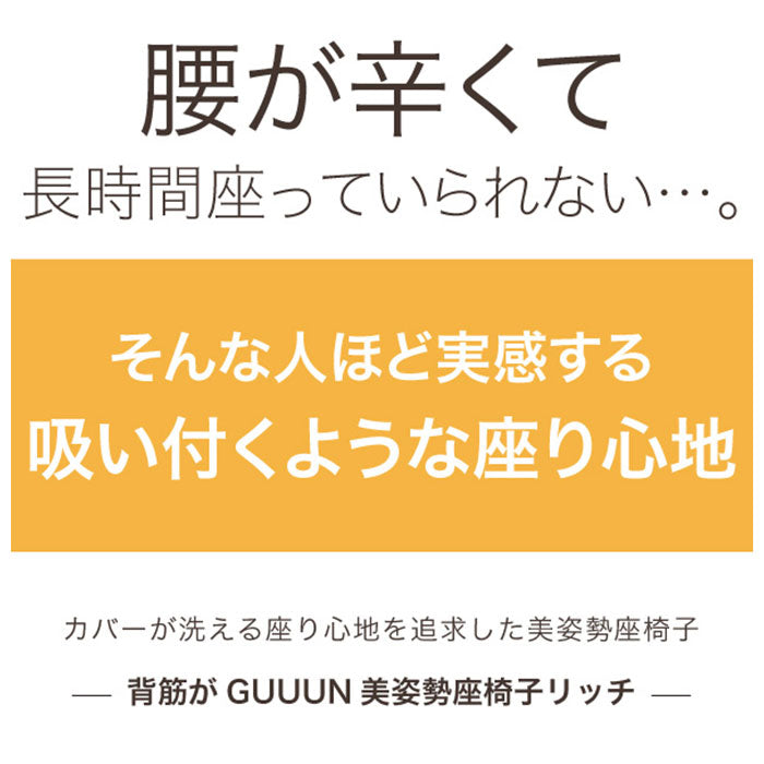 座椅子 リクライニング 通販 背筋がGUUUN 美姿勢座椅子リッチ カバー