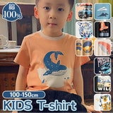 tシャツ キッズ 通販 半袖 パジャマ ボーイズ ガールズ 男の子 女の子 子供服 ティーシャツ カジュアル デザイン トラ 犬 ジープ クジラ マジック 飛行機 恐竜