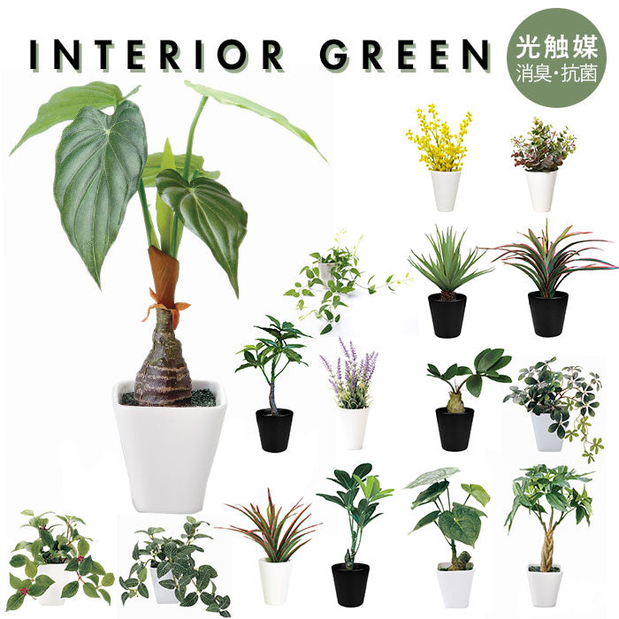 ミニ人工植物鉢植え オフィス キッチン バスルーム 寝室 本棚用 楽天市場】4個セット キャスター付き植木鉢トレー FACILE