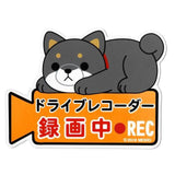 ドライブレコーダー ステッカー マグネット 通販 おしゃれ 猫 ネコ 犬 イヌ クロネコ ミケネコ 豆しば マメシバ マグネットサイン キャラクター かわいい 後方 マグネットステッカー 煽り運転対策 あおり運転対策 ドラレコ 「録画中」 サイン 磁石