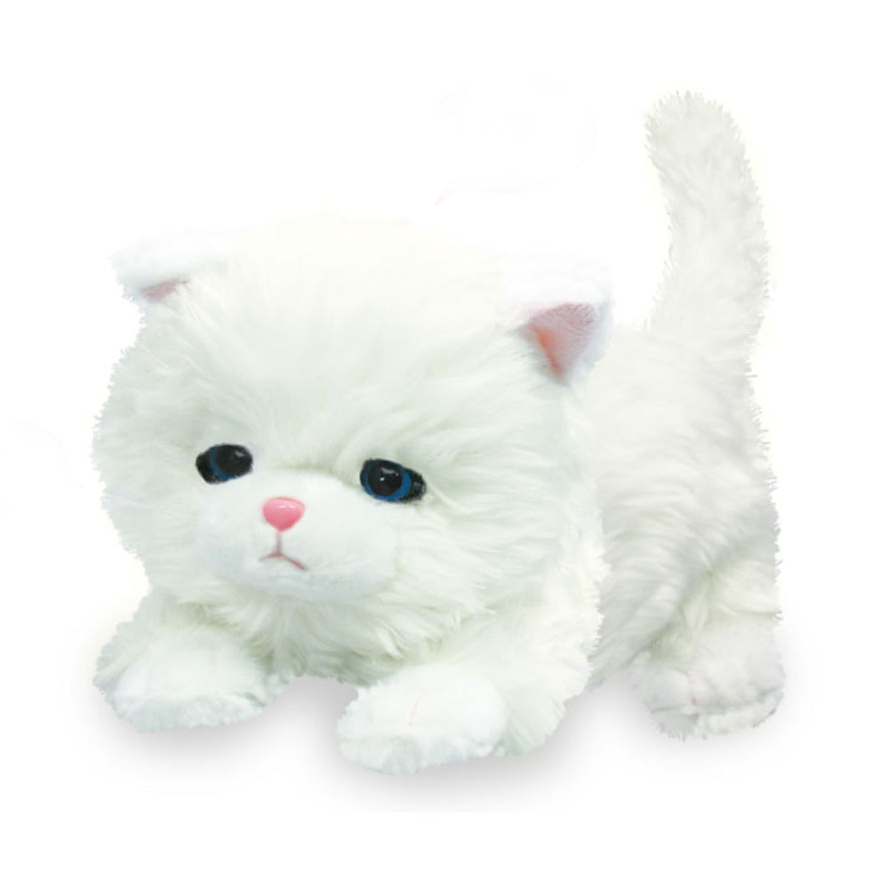 nemunemucat-zai-whitecat_2048x