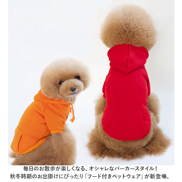petddwy01_1_2048x.jpg?v=1684315789